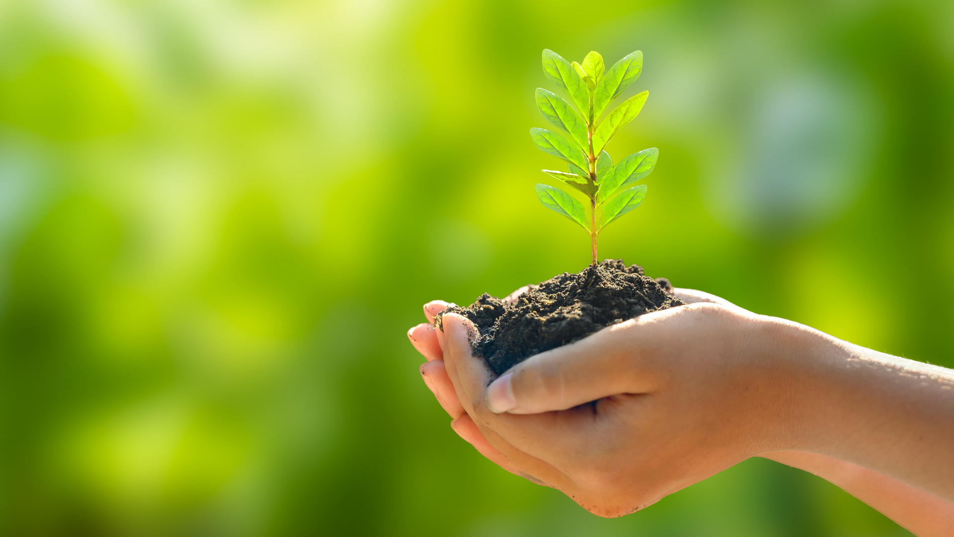 Por que adotar práticas sustentáveis é a melhor estratégia para 2025?